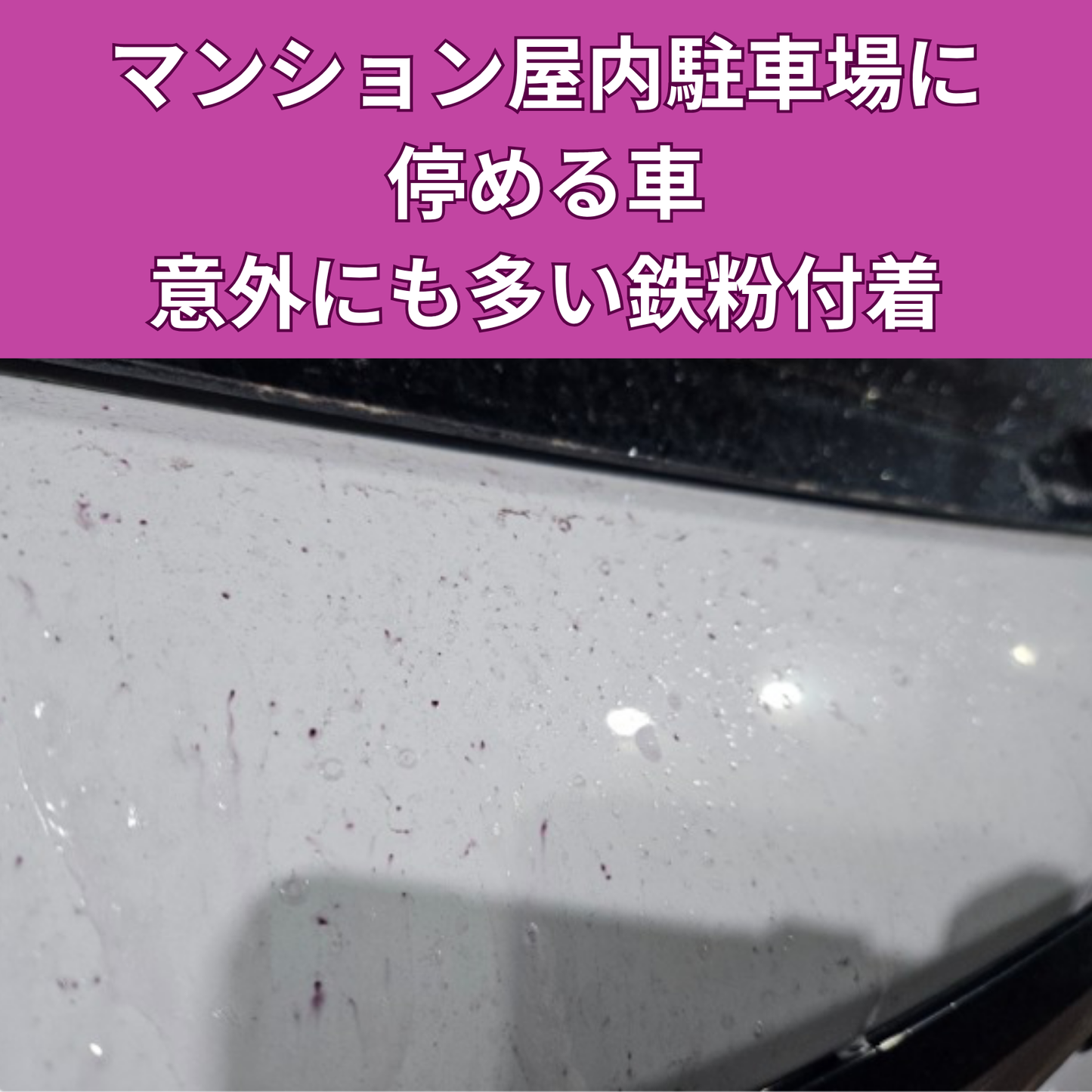 PURPLE SLIME