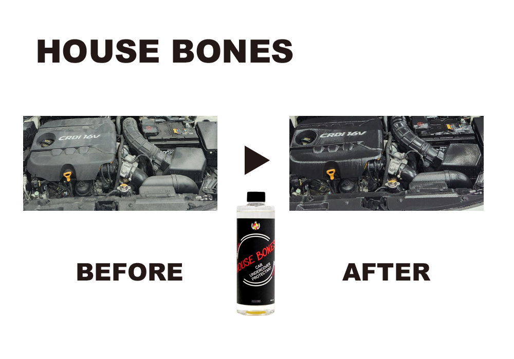 HOUSE BONES